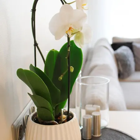 13th Floor Cityview Luxury